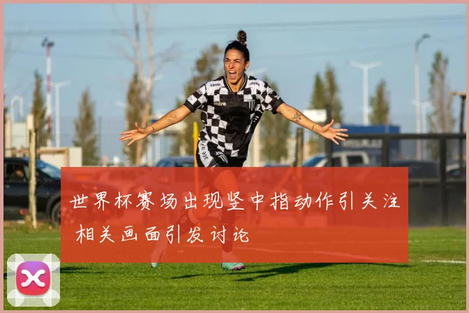 世界杯赛场出现竖中指动作引关注 相关画面引发讨论