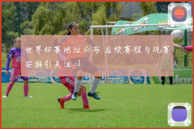 世界杯赛地址公布 后续赛程与观赛安排引关注_1