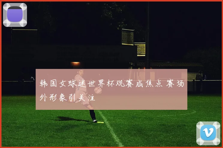 韩国女球迷世界杯观赛成焦点 赛场外形象引关注