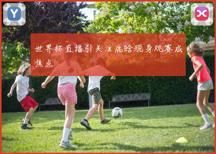 世界杯直播引关注鹿晗现身观赛成焦点