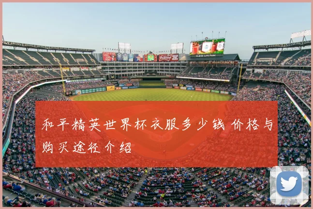 和平精英世界杯衣服多少钱 价格与购买途径介绍