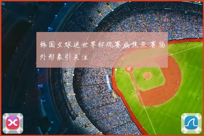 韩国女球迷世界杯观赛成焦点 赛场外形象引关注