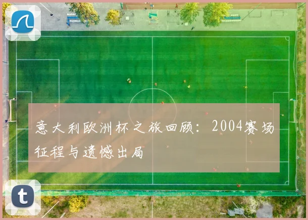 意大利欧洲杯之旅回顾:2004赛场征程与遗憾出局