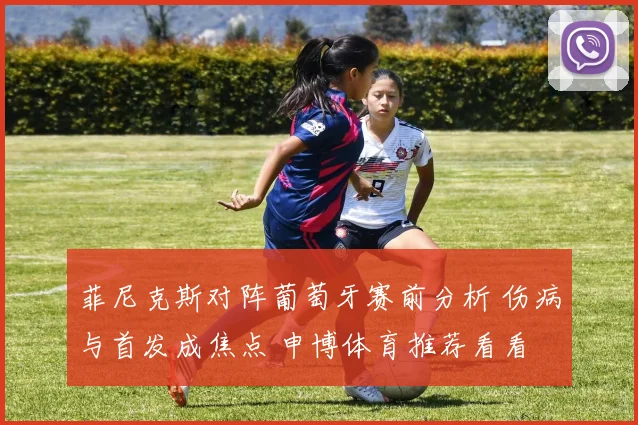 菲尼克斯对阵葡萄牙赛前分析 伤病与首发成焦点 申博体育推荐看看