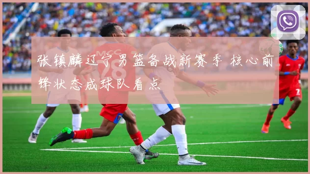 张镇麟辽宁男篮备战新赛季 核心前锋状态成球队看点