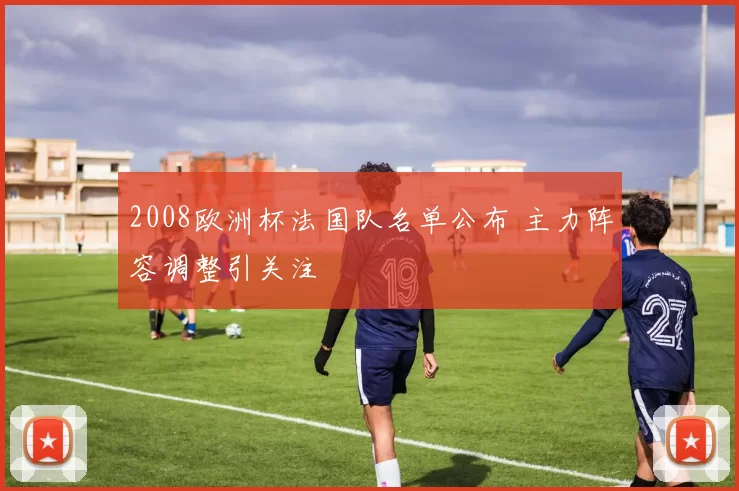 2008欧洲杯法国队名单公布 主力阵容调整引关注