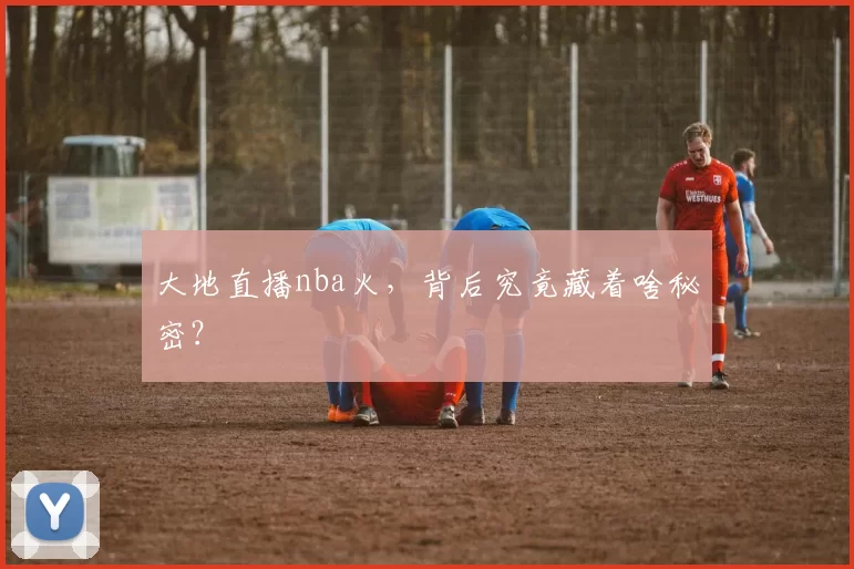 大地直播nba火，背后究竟藏着啥秘密？