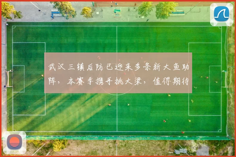 武汉三镇后防已迎来多条新大鱼助阵，本赛季携手挑大梁，值得期待